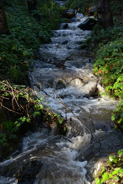 DSC_0932 (Large).JPG